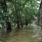 Bulwar Józefa Zwierzyckiego  Autor: labeo7, archiwum Uniwersytetu...