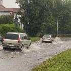 zdjęcie nr 3