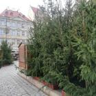 zdjęcie nr 41