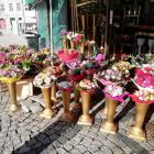 Kwiaty na Solnym we Wrocławiu  Autor: mgo