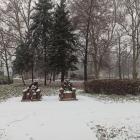 zdjęcie nr 16