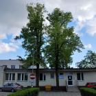 zdjęcie nr 5