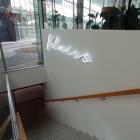 Centrala Kaufland przy al. Armii Krajowej we Wrocławiu  Autor: Bartosz Senderek