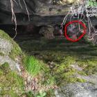 fot. Grupa Sudecka GOPR