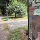 zdjęcie nr 19