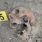 fot. Pracownia Badań Historycznych i Archeologicznych „Pomost”