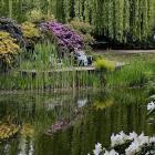  fot. Anna Wierzchowska 

  Ogr&oacute;d Botaniczny Uniwersytetu Wrocławskiego -  jakie...