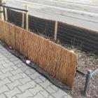 Słomiane bariery ochronne przy drzewach na ul. Bolesława Chrobrego  Autor: Wojciech Kulig