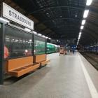 zdjęcie nr 8