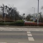 Fotka nr 2 z 14