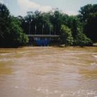 zdjęcie nr 37