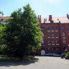 zdjęcie nr 8