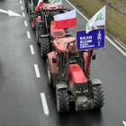 zdjęcie nr 21