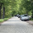 zdjęcie nr 10
