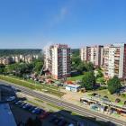 zdjęcie nr 11