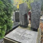 zdjęcie nr 50