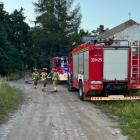 zdjęcie nr 11
