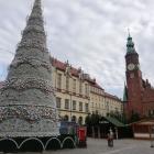 zdjęcie nr 51