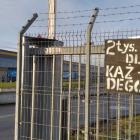 Fotka nr 3 z 11