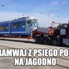 Fotka nr 3 z 18