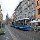 Fotka nr 4 z 23