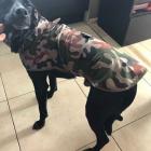 Fotka nr 5 z 10
