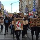 zdjęcie nr 13