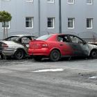 zdjęcie nr 7