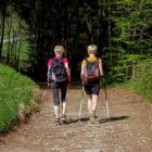 Kije do nordic walking znalezione 19 sierpnia 
 
pociąg nr 69287 Wałbrzych Główny...