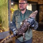   Autor: ZOO Wrocław