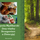 zdjęcie nr 9