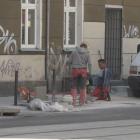 zdjęcie nr 12