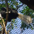   Autor: Materiały wrocławskiego zoo