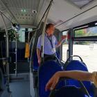 zdjęcie nr 31