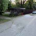 zdjęcie nr 5
