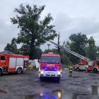 zdjęcie nr 15