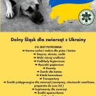   Autor: Dolnośląska Straż dla Zwierząt
