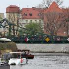 zdjęcie nr 12