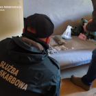   Autor: Krajowa Administracja Skarbowa