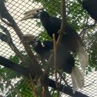  Autor: Materiały wrocławskiego zoo