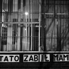 zdjęcie nr 11
