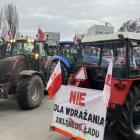 zdjęcie nr 10