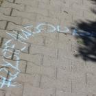zdjęcie nr 31