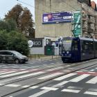 zdjęcie nr 9