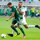 zdjęcie nr 34