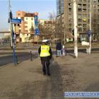 Akcja NURD we Wrocławiu  Autor: KMP we Wrocławiu