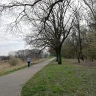 zdjęcie nr 25