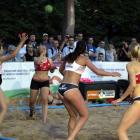 zdjęcie nr 11