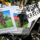 Wiśnia Karłowa
 
Wiśnia ta nie jest podatna na mróz oraz wszelkiego rodzaju choroby....