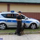   Autor: Dolnośląska Policja
